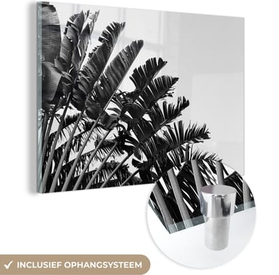 MuchoWow® Glasschilderij 150x100 cm - Schilderij acrylglas - Palmblad - Tropisch - Zomer - Foto op glas - Schilderijen