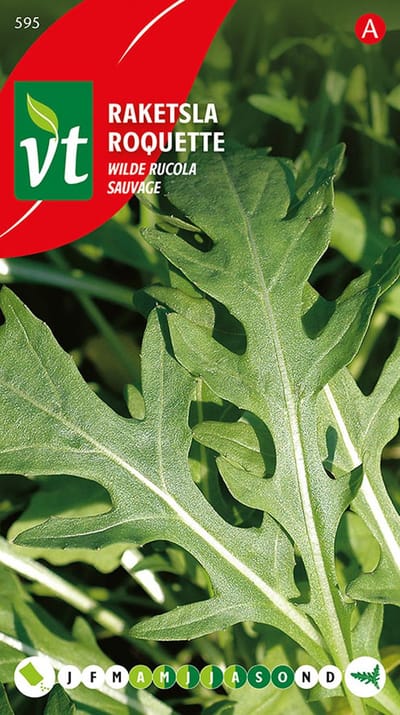 Sla 'Raketsla Wilde Rucola' - Pikantere en Meer Uitgesproken Smaak