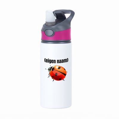 Hacebo® - lieveheersbeestje met eigen naam waterfles met rietje roze - Lieveheersbeestje - lieveheersbeestje liefhebbers - iemand die houdt van lieveheersbeestjes - verjaardag - cadeau - kado - water fles - 650ML