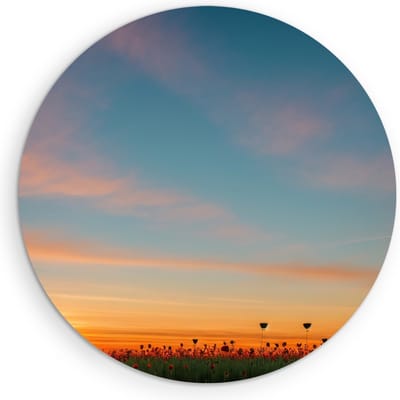 Saammp Muurcirkel Hout - Landschap - Bloemenveld - Natuur - Ø 90 - Wandcirkel - Wanddecoratie Cirkel - Muurdecoratie Woonkamer - Slaapkamer decoratie - Rond Schilderij