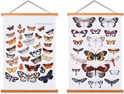 Magnetisch Posterframe van Licht Hout voor Canvas Kunstwerken en Art Prints - 50cm, 2 Stuks, Ideaal voor Wanddecoratie en Thuisstyling