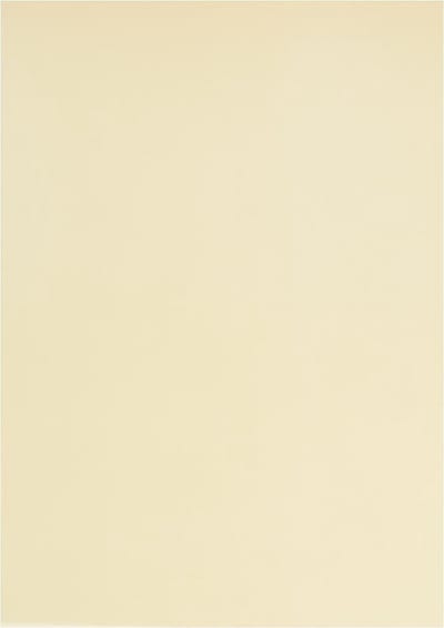 Vellumpapier, A4, vel 210x297 mm, 100 gr, naturel, 10 vel/ 1 doos