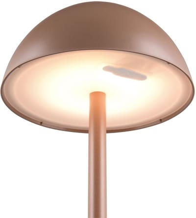 REALITY RICARDO - Tafellamp - Mokka - incl. 1x SMD 1,7 W - 4-stappen TOUCH - USB-aansluiting - Verlichting omhoog en omlaag - Oplaadbaar - Snoerloos - Buitenverlichting - IP54