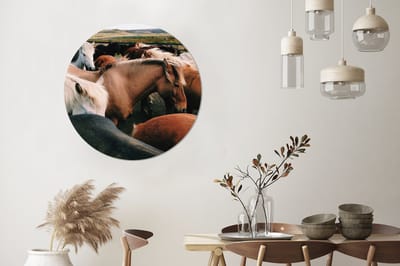 WallCircle - Wandcirkel - Muurcirkel - Paarden - Dieren - Wild - Aluminium - Dibond - 90x90 cm - Binnen en Buiten