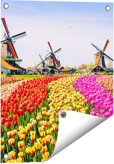 Gards Tuinposter Kleurrijke Tulpen Bloemenveld - Windmolen - 40x50 cm - Tuindoek - Tuindecoratie - Wanddecoratie buiten - Tuinschilderij