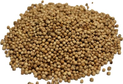 Reniers Fishing Verse Koriander 500g – Aromatische Specerij voor Voermixen en Witvisvoer