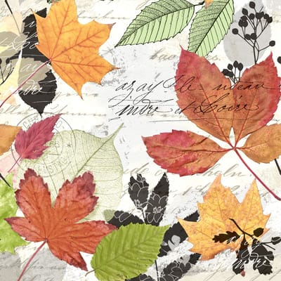 Duni - Servetten - Herbarium 33x33cm