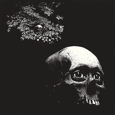 Thee Oh Sees - A Foul Form (LP)