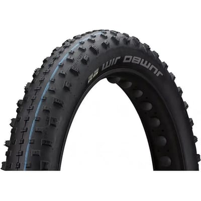 Schwalbe Buitenband Jumbo Jim Evo 26 X 4.00 (100-559) Tle Zwart