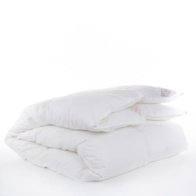 Bjorn® Provence Warm 140x220 - Dekbed - 90% Dons - Winter 140x220 - Eenpersoons Dekbed - Comfort en Ademend - Natuurlijke Ganzendons - Anti Allergie Dekbed - Winter - Wasbaar - Warm - OEKO-TEX®
