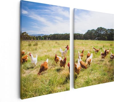 Artaza Canvas Schilderij Tweeluik Kippen in het Gras - 80x60 - Foto Op Canvas - Canvas Print