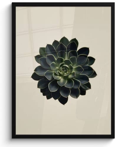 Poster in lijst - Fotolijst 60x80 cm - Posters - Rozet - Cirkelvormig - Donkergroen - Posterlijst zwart - Decoratie - Wanddecoratie woonkamer - Muurdecoratie slaapkamer