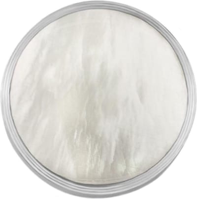 Quiges RVS Verwisselbare Mini Munt Beige Schelp - SLSRC002