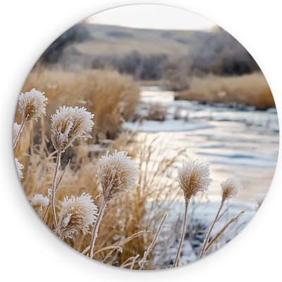 Saammp Muurcirkel Hout - bevroren struisriet - Natuur - Landschap - Ø 90 - Wandcirkel - Wanddecoratie Cirkel - Muurdecoratie Woonkamer - Slaapkamer decoratie - Rond Schilderij