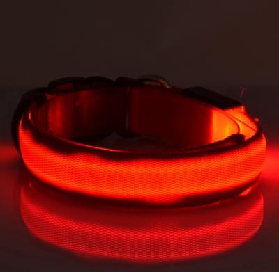 New Age Devi - Lichtgevende Halsband - LED Halsband - Maat S - 3543 cm - Verlichting voor Hond - Hondenlampje - Inclusief Batterijen - Rood