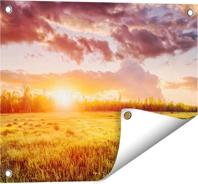 Gards Tuinposter Zonsopkomst in het Veld - 50x40 cm - Tuindoek - Tuindecoratie - Wanddecoratie buiten - Tuinschilderij