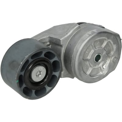 Riemspanner, Poly V-riem DAYCO APV2721