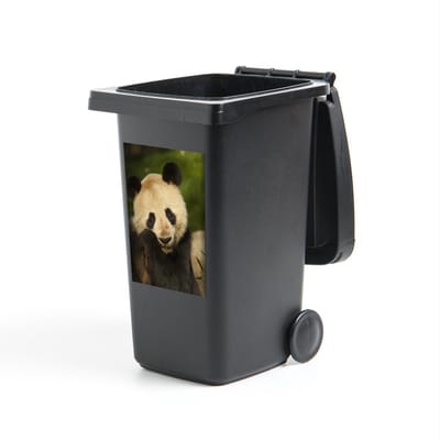 Container sticker Reuzenpanda - Verliefde reuzenpanda - 40x60 cm - kliko sticker - weerbestendige containersticker
