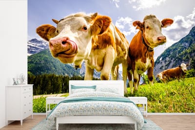 Behang - Fotobehang Koeien - Bergen - Gras - Landschap - Alpen - Breedte 420 cm x hoogte 280 cm