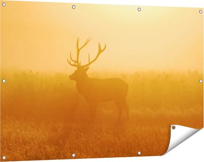Gards Tuinposter Hert tijdens de Mist - 120x80 cm - Tuindoek - Tuindecoratie - Wanddecoratie buiten - Tuinschilderij