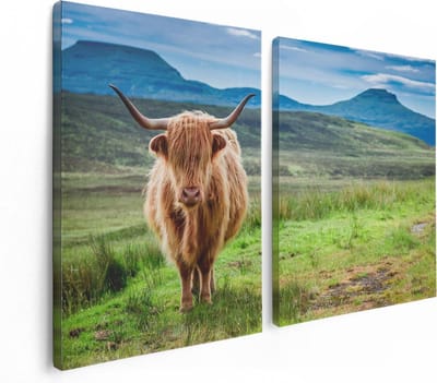 Artaza Canvas Schilderij Tweeluik Schotse Hooglander In De Wei - Kleur - 120x80 - Foto Op Canvas - Canvas Print