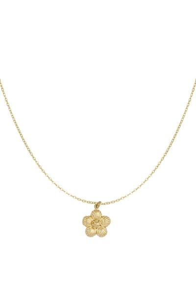 daisy ketting