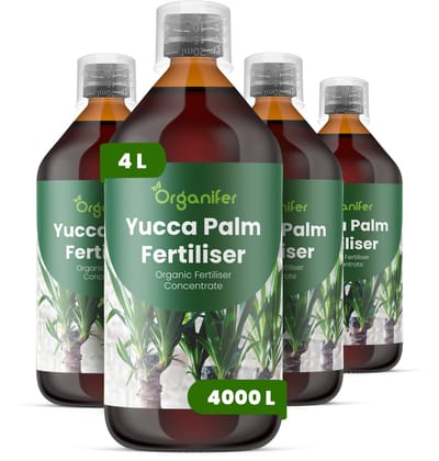 Vloeibare Meststof Voor Yucca Palmen - 4X1 L Voor 4000 L - Npk 2-1-8 - Geschikt Voor Yucca-Palmen In Pot En In De Tuin - Versterkt De Wortels - Helpt De Compacte - Architecturale Plantvorm Te Behouden - Ontwikkeld Voor Regelmatig - Organifer