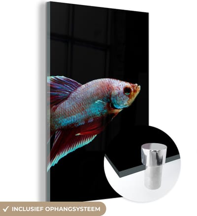MuchoWow® Glasschilderij 120x180 cm - Schilderij acrylglas - Vis - Dieren - Licht - Foto op glas - Schilderijen