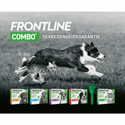 Frontline Combo Spot On Anti Vlooien en Teken Druppels Kat vanaf 1 kg - 2 x 6 pipetten - Voordeelverpakking