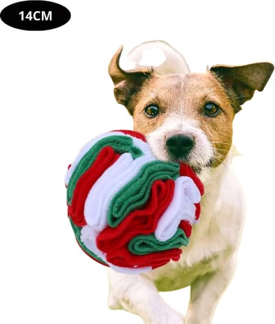 Livano Honden Speelgoed - Hond - Speelgoed - Dog Toy - Snuffelbal - Rood wit groen 14cm