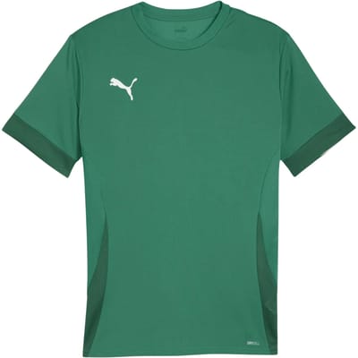 PUMA teamGOAL Matchday Jersey Heren Sportshirt - Sport Green-PUMA White-Power Green