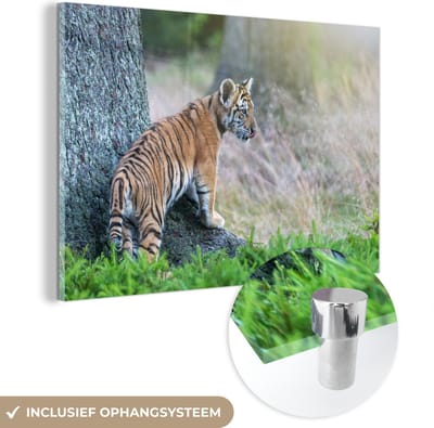 MuchoWow® Glasschilderij 60x40 cm - Schilderij acrylglas - Tijgerwelp in het bos - Foto op glas - Schilderijen