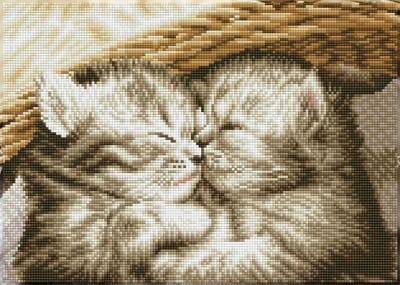 Full Diamond Painting Volwassenen Met Lijst/Frame - Hobby - Volledig Pakket - Vierkante Steentjes - DQK8.023 Diamond Dotz® - Knuffelende kittens 29.5 x 41.5 cm