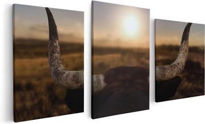 Artaza Canvas Schilderij Drieluik Stierenhoorns Bij Zonsondergang - 120x60 - Foto Op Canvas - Canvas Print