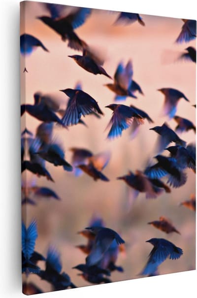 Artaza Canvas Schilderij Vogelzwerm - 40x50 cm - Wanddecoratie Vogels - Muurdecoratie Woonkamer - Kamer Accessoires