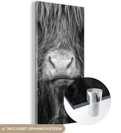 MuchoWow® Glasschilderij 20x40 cm - Schilderij acrylglas - Schotse Hooglander - Haar - Dieren - Foto op glas - Schilderijen