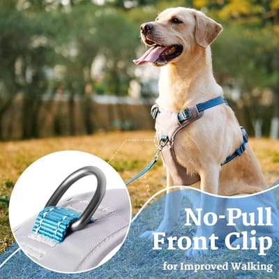 Famanu – Volledig reflecterend hondentuig no-pull, ademend en verstelbaar hondenvest met dubbele leash clips, blauw, maat S