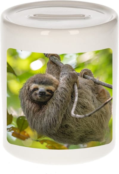 Dieren luiaard foto spaarpot 9 cm jongens en meisjes - Cadeau spaarpotten luiaards liefhebber