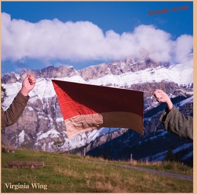 Virginia Wing - Ecstatic Arrow (CD)