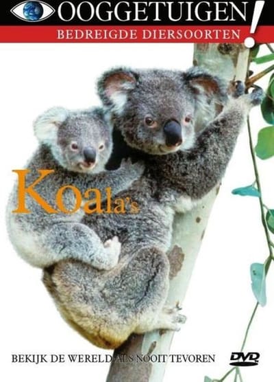 Ooggetuigen - Koala's (DVD)