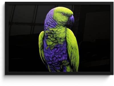 Poster in lijst - Fotolijst 60x40 cm - Posters - Papegaai - Veren - Opvallend - Groen - Posterlijst zwart - Decoratie - Wanddecoratie woonkamer - Muurdecoratie slaapkamer
