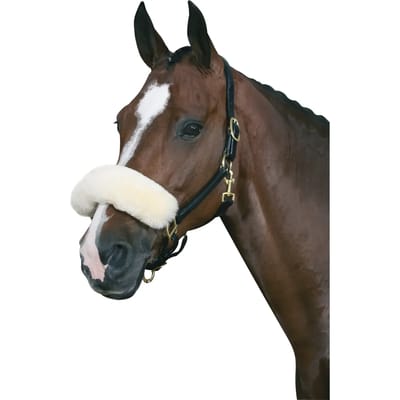 Neusbandmantel HorseGuard