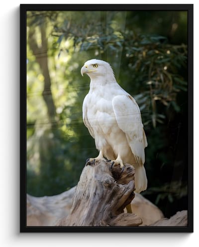 Poster in lijst - Fotolijst 50x70 cm - Posters - Arend - Hout - Wit - Planten - Posterlijst zwart - Decoratie - Wanddecoratie woonkamer - Muurdecoratie slaapkamer