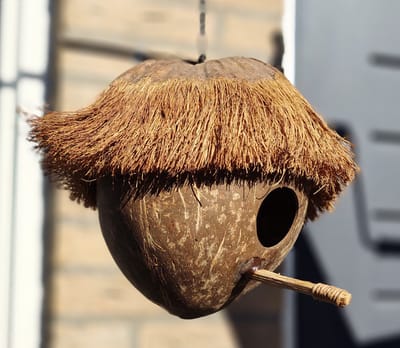 Vogelhuis – Kokosnoot – tropisch vogelhuisje – natuurlijk – milieuvriendelijk – decoratie – ecologisch – boho style – uniek – exotisch – schuilplek vogels – nest – tuindecoratie – winterverblijf – vogels spotters – duurzaam - vogelhuisje