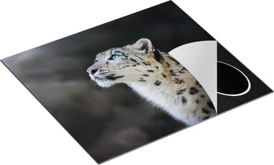 Chefcare Inductie Beschermer Luipaard met Blauwe Ogen - 60x50 cm - Afdekplaat Inductie - Kookplaat Beschermer - Inductie Mat