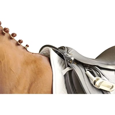 Paardenzadelriem HKM