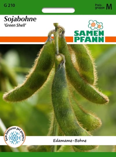 Edamame sojabonen, groene peulbonen - bonenzaden, groentezaden, zaailingen