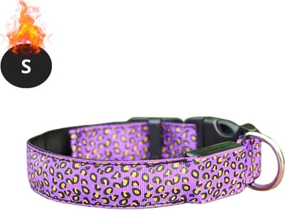 Bovista Lichtgevende Halsband - Verlichte Halsband - Lichtgevend - Hond - Kat - Lampje - Hondenhalsband Led - Oplaadbaar - Paars - S