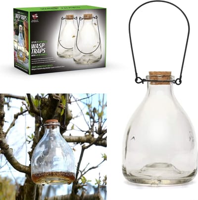 Hoornaar Val - Hoornaarval Aziatische - Wespentrap - Glas - Dubbelpack - Veilig en Effectief - Voor Tuin en Buiten