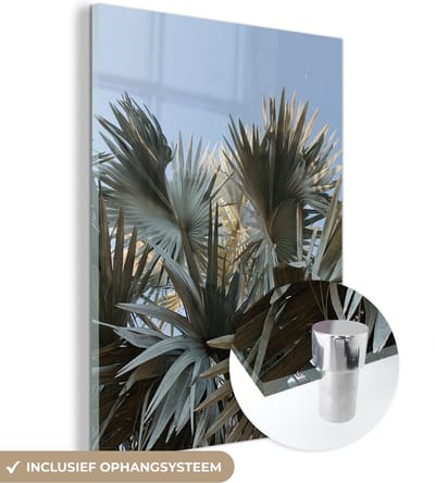 MuchoWow® Glasschilderij 120x160 cm - Schilderij acrylglas - Palm - Bladeren - Tropisch - Zomer - Foto op glas - Schilderijen